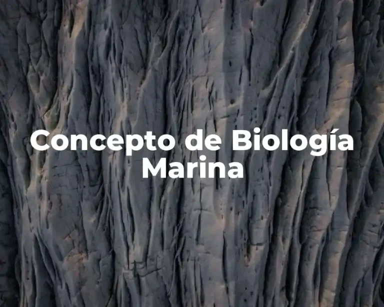 Concepto de Biología Marina