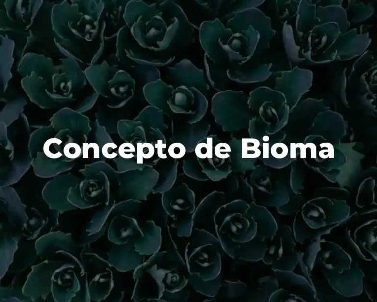 Concepto de Bioma