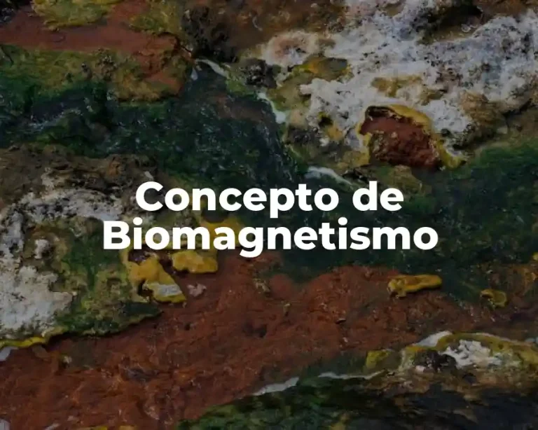 Concepto de Biomagnetismo
