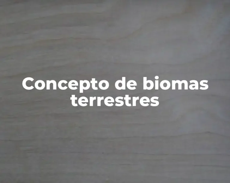 Concepto de biomas terrestres