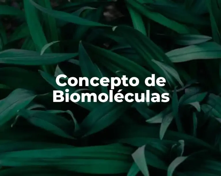 Concepto de Biomoléculas