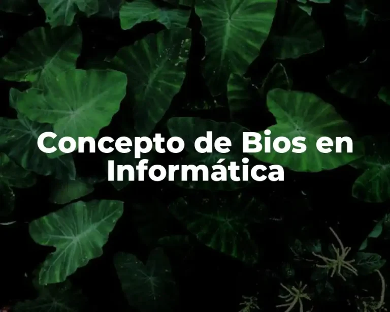 Concepto de Bios en Informática