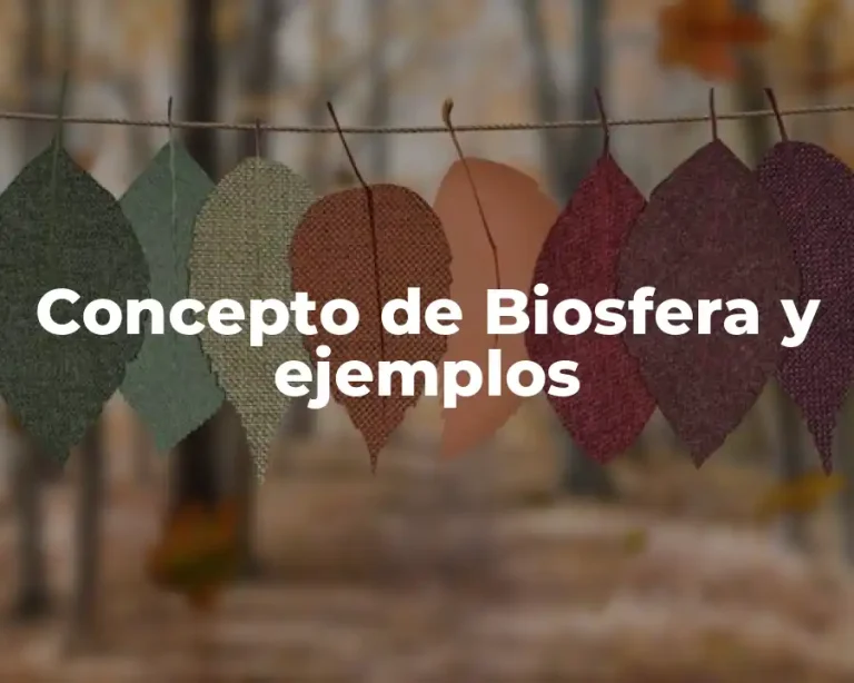 Concepto de Biosfera y ejemplos
