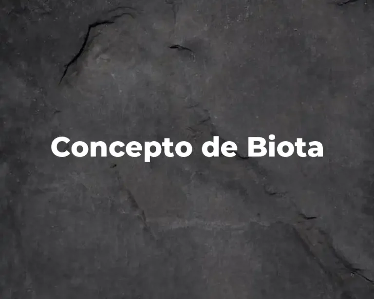 Concepto de Biota
