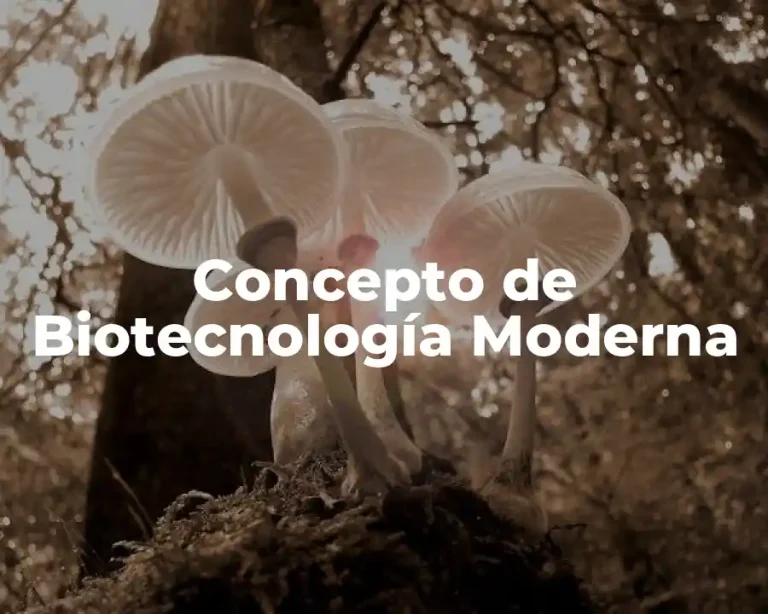 Concepto de Biotecnología Moderna