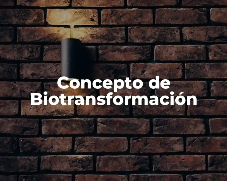 Concepto de Biotransformación
