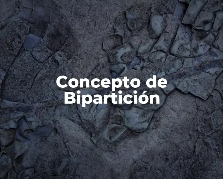 Concepto de Bipartición