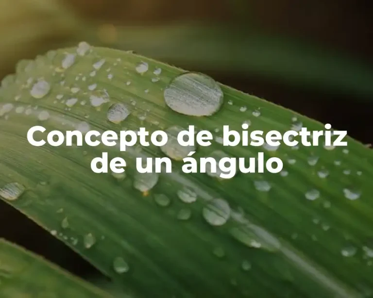 Concepto de bisectriz de un ángulo