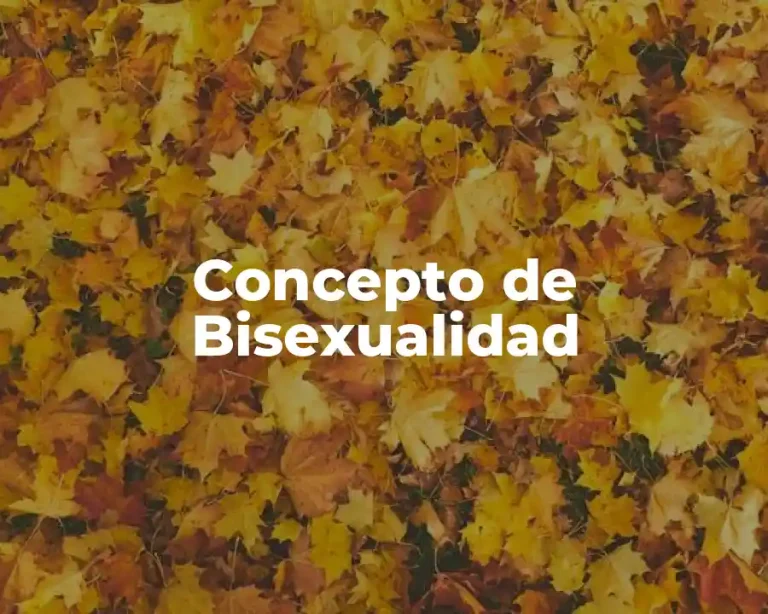 Concepto de Bisexualidad