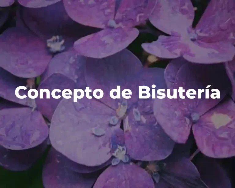 Concepto de Bisutería