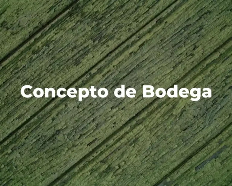 Concepto de Bodega