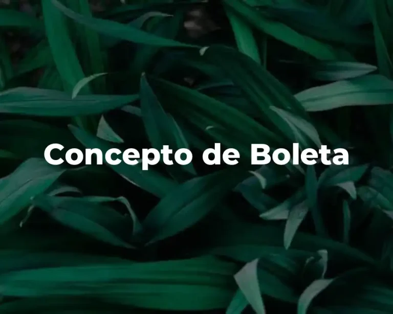 Concepto de Boleta
