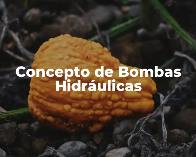 Concepto de Bombas Hidráulicas