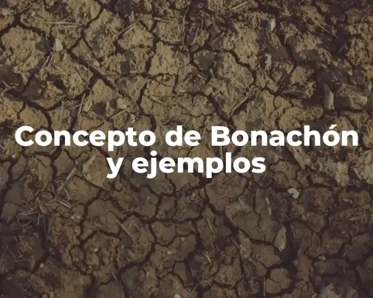 Concepto de Bonachón y ejemplos