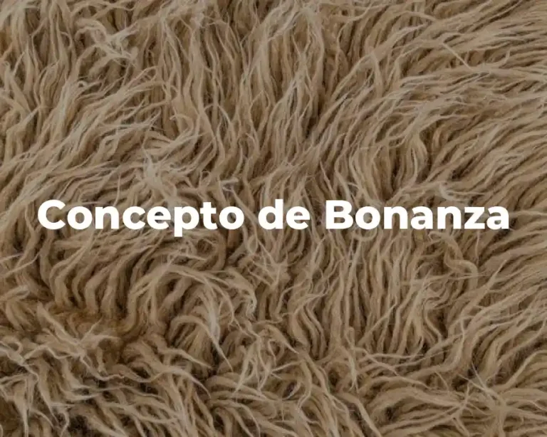 Concepto de Bonanza