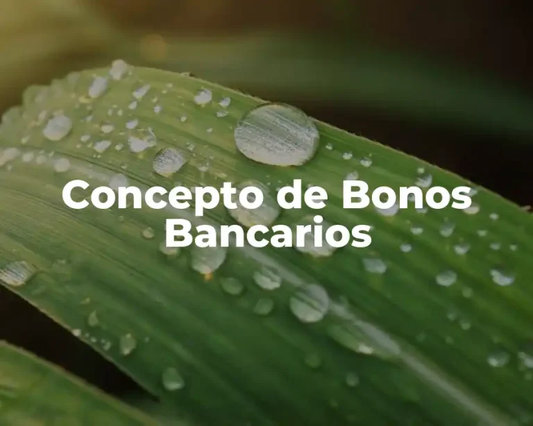 Concepto de Bonos Bancarios