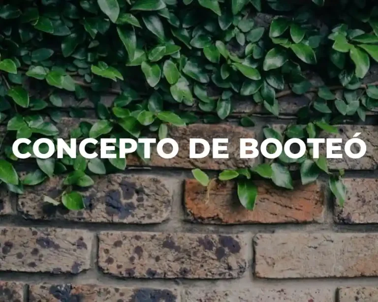 CONCEPTO DE BOOTEÓ