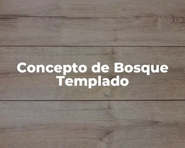 Concepto de Bosque Templado