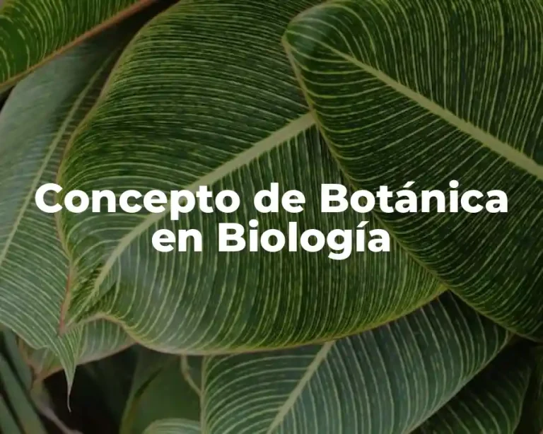 Concepto de Botánica en Biología