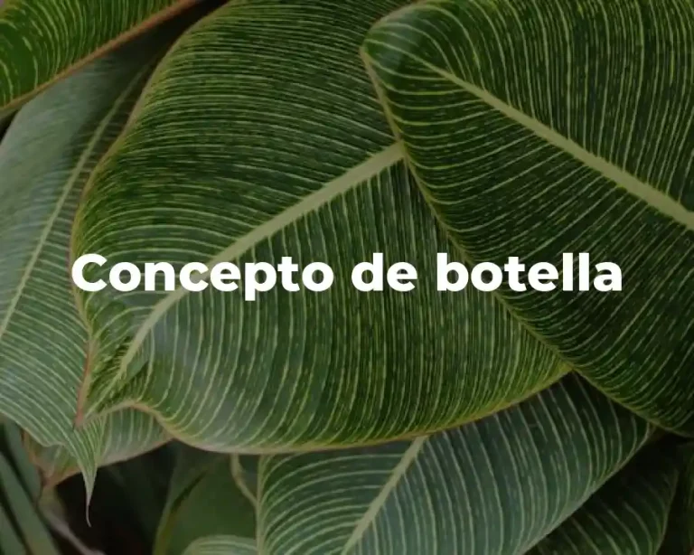 Concepto de botella