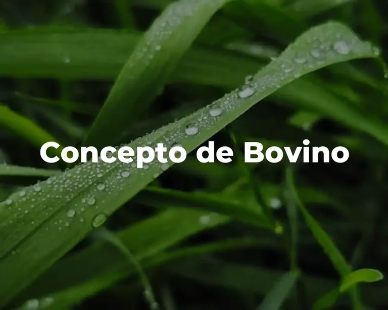 Concepto de Bovino