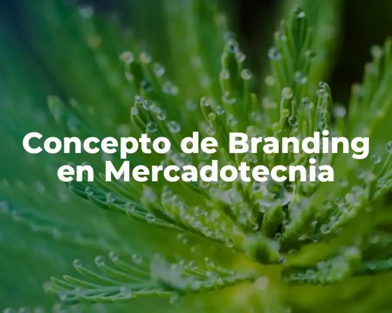 Concepto de Branding en Mercadotecnia
