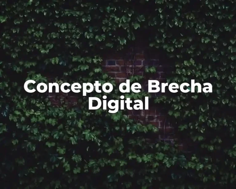 Concepto de Brecha Digital
