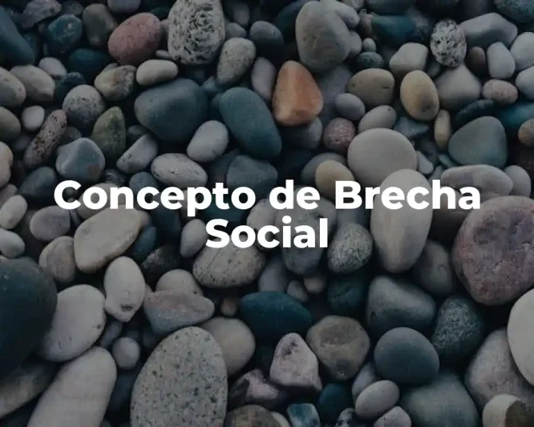 Concepto de Brecha Social