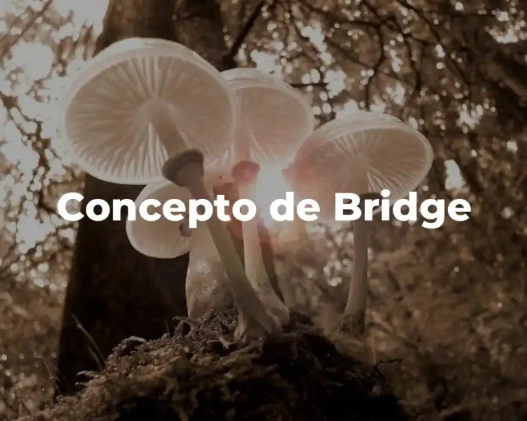 Concepto de Bridge