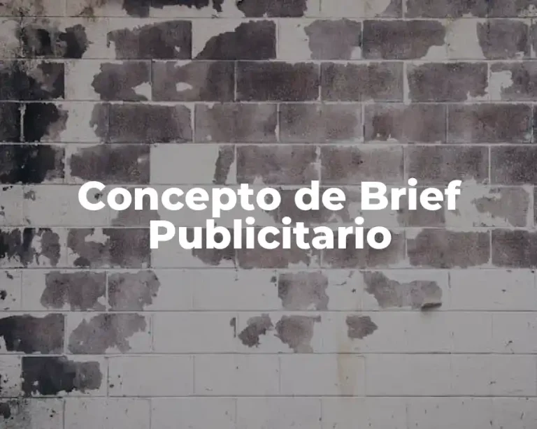 Concepto de Brief Publicitario