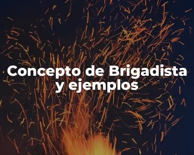Concepto de Brigadista y ejemplos