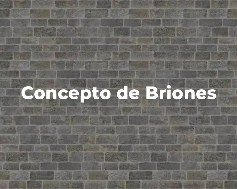 Concepto de Briones