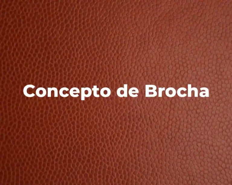 Concepto de Brocha