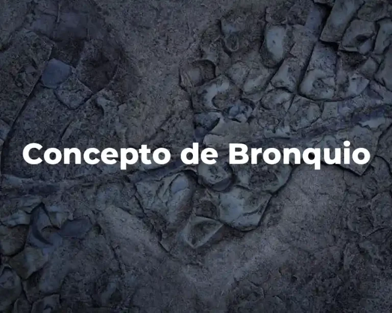 Concepto de Bronquio