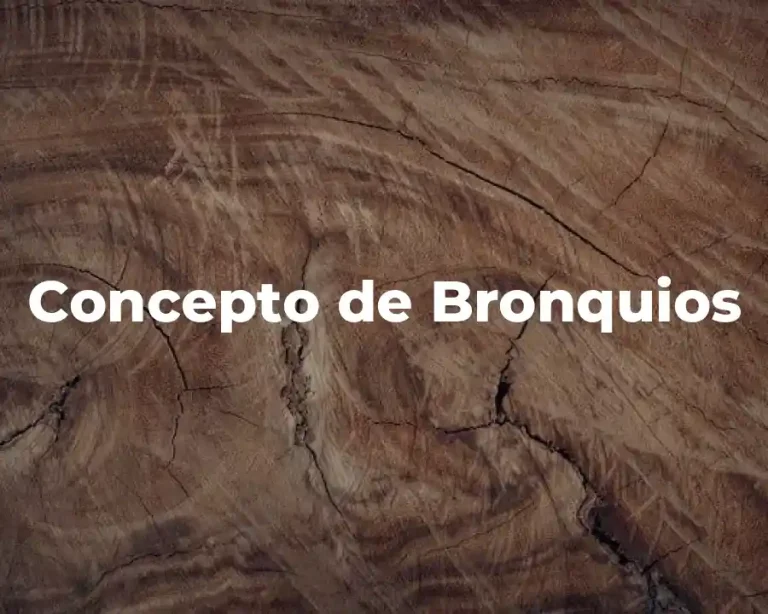 Concepto de Bronquios