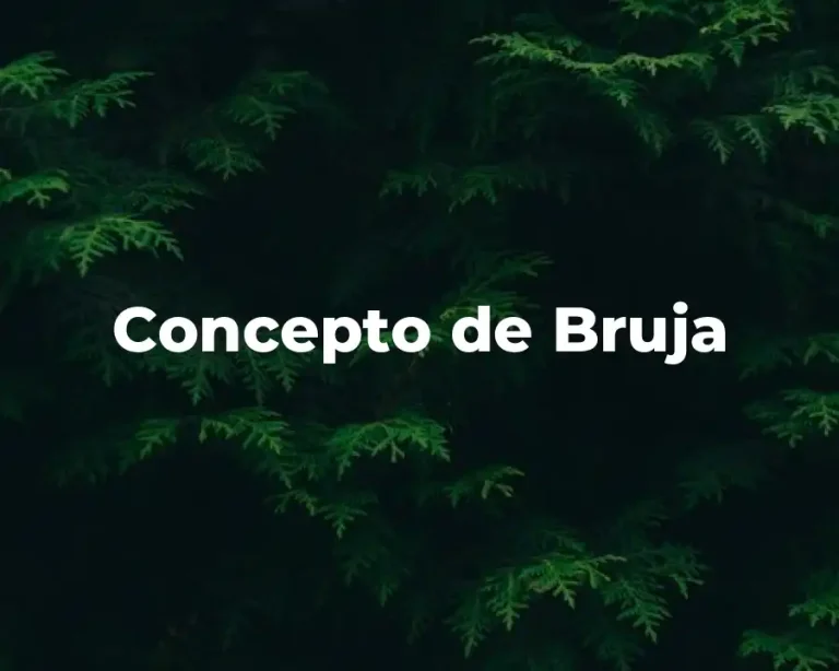 Concepto de Bruja