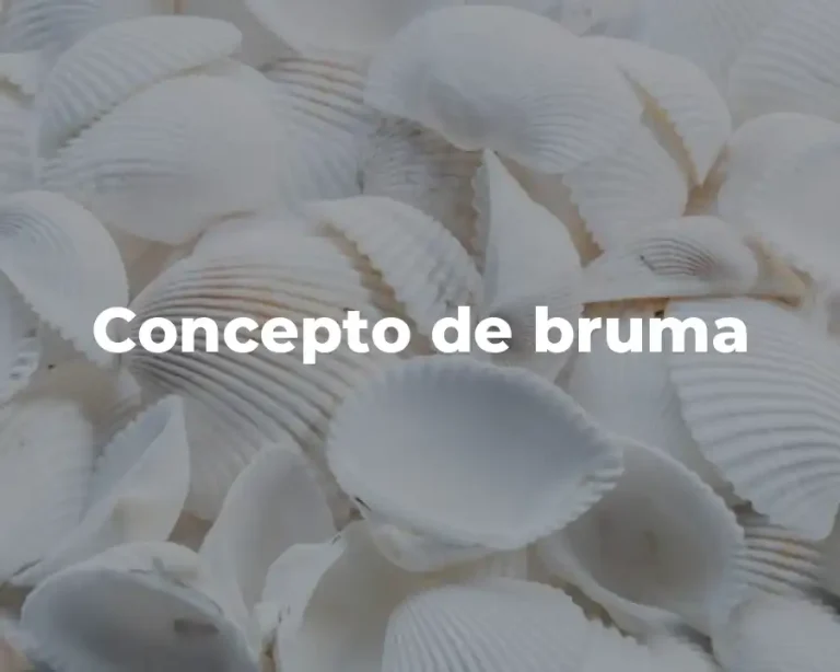 Concepto de bruma