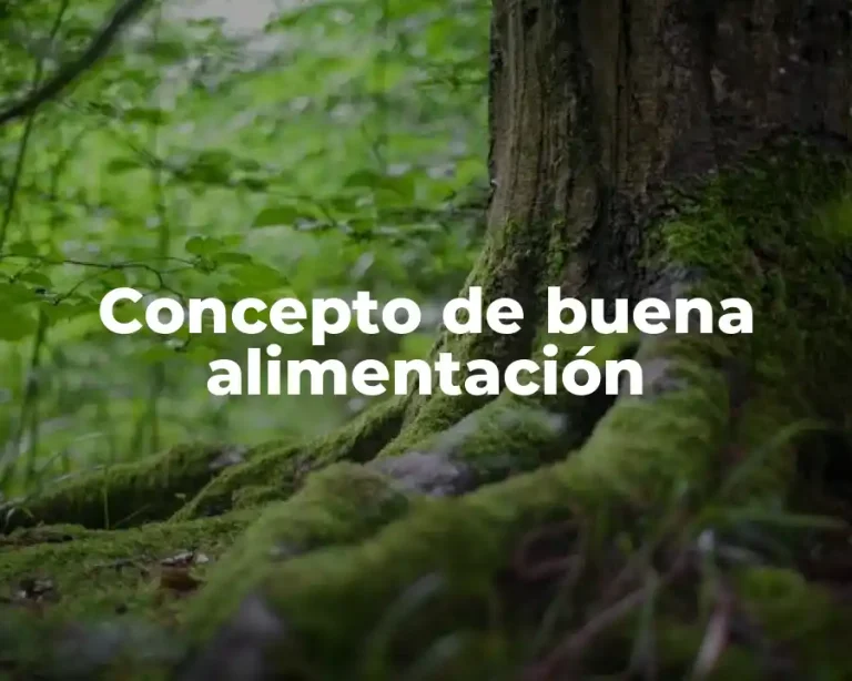 Concepto de buena alimentación