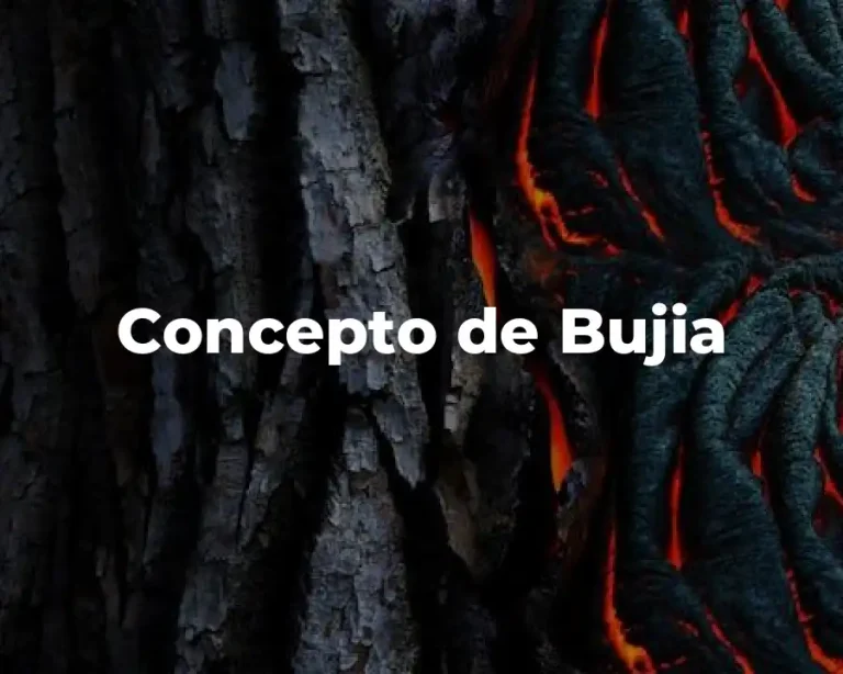 Concepto de Bujia