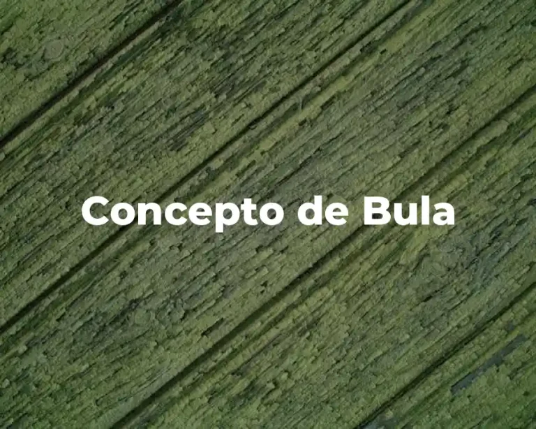 Concepto de Bula
