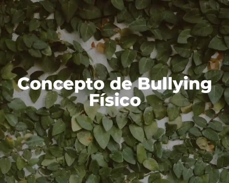 Concepto de Bullying Físico
