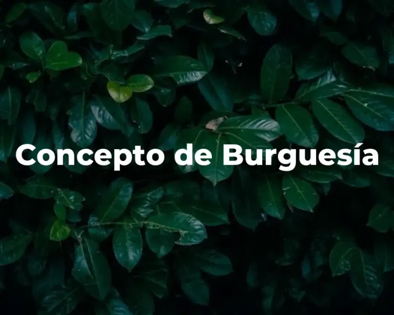 Concepto de Burguesía