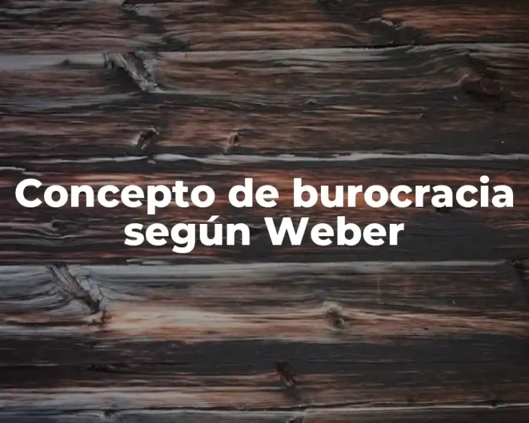 Concepto de burocracia según Weber