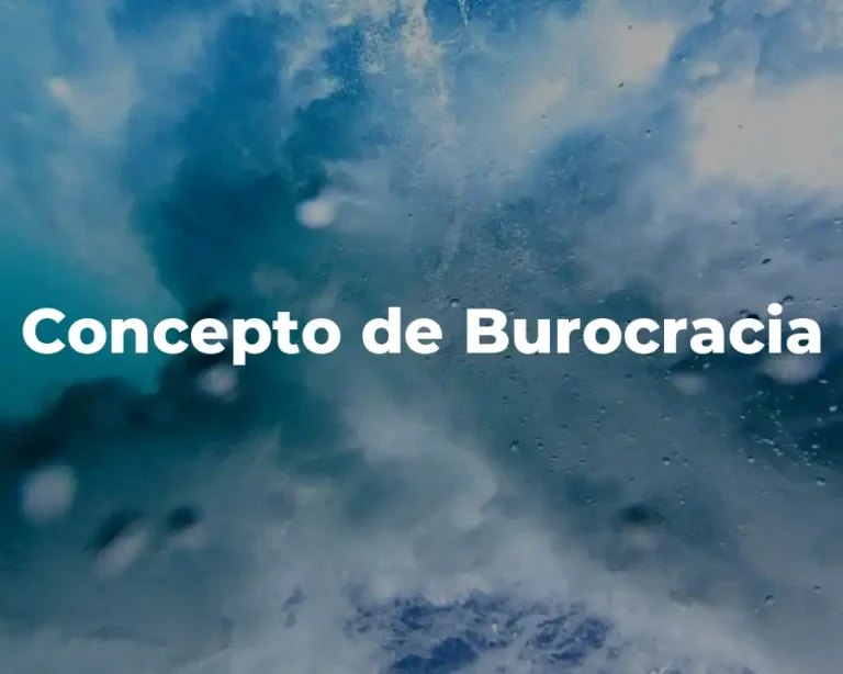 Concepto de Burocracia