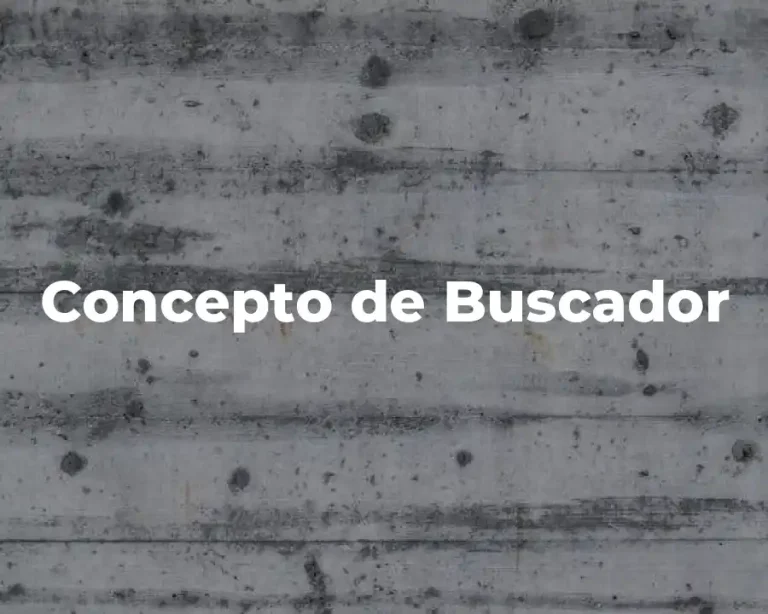 Concepto de Buscador