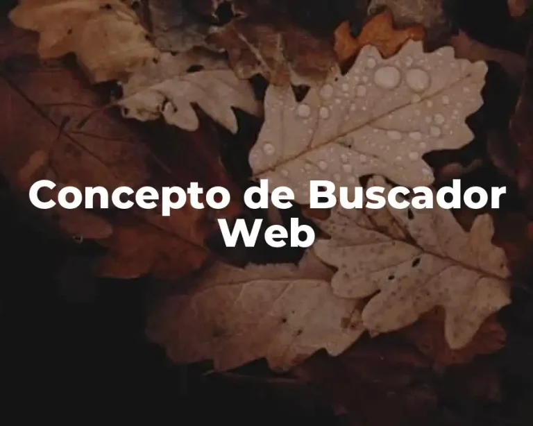 Concepto de Buscador Web