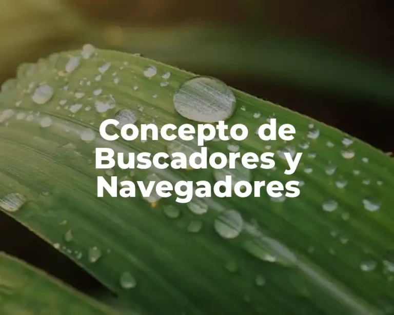 Concepto de Buscadores y Navegadores
