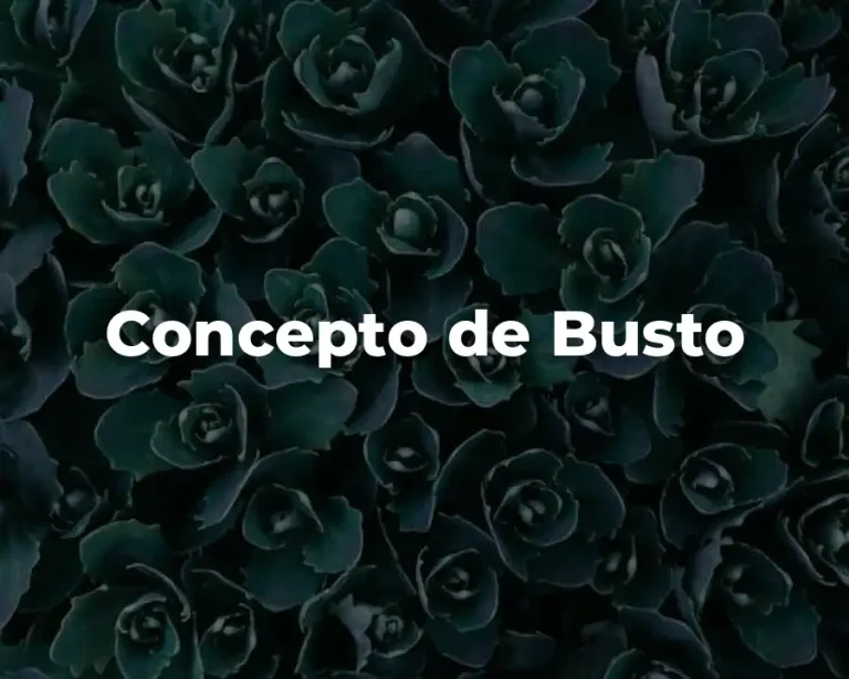 Concepto de Busto