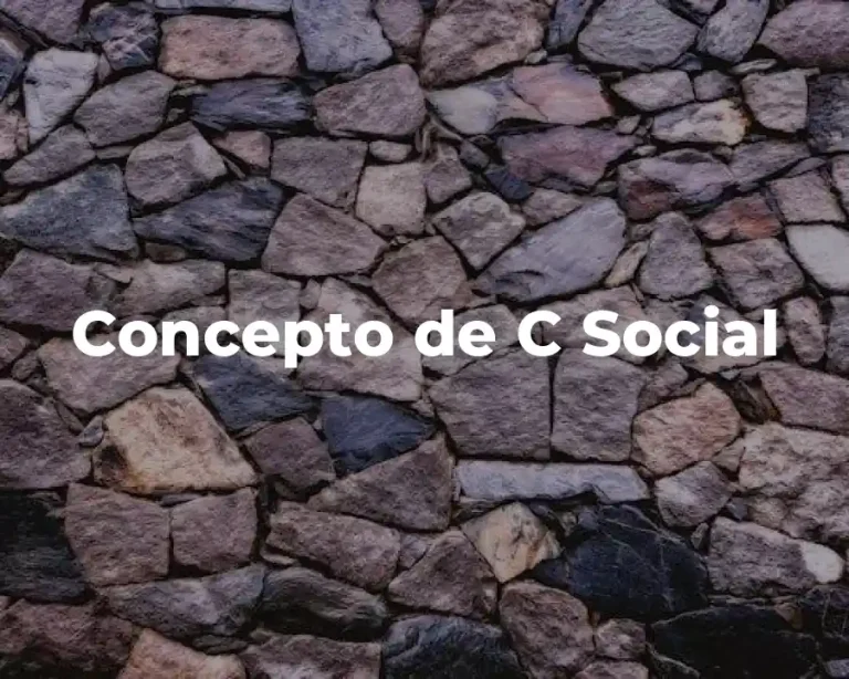 Concepto de C Social
