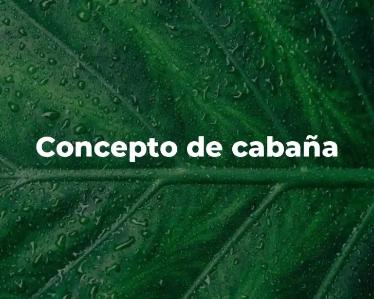 Concepto de cabaña